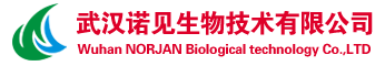 武汉诺见生物技术有限公司